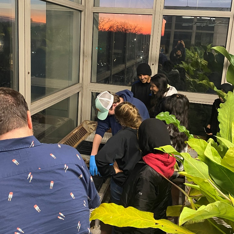 A group of students planting in a greenhouse.