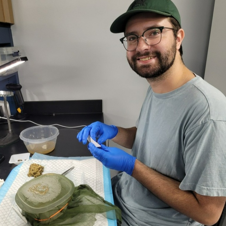 A male student works on plant samples in a laboratory.